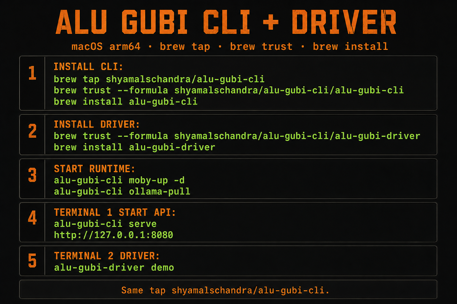 Four-step guide to install ALU GUBI CLI, start the API, and run the encrypted driver